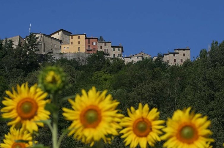 Appartement Apartment MONTONE