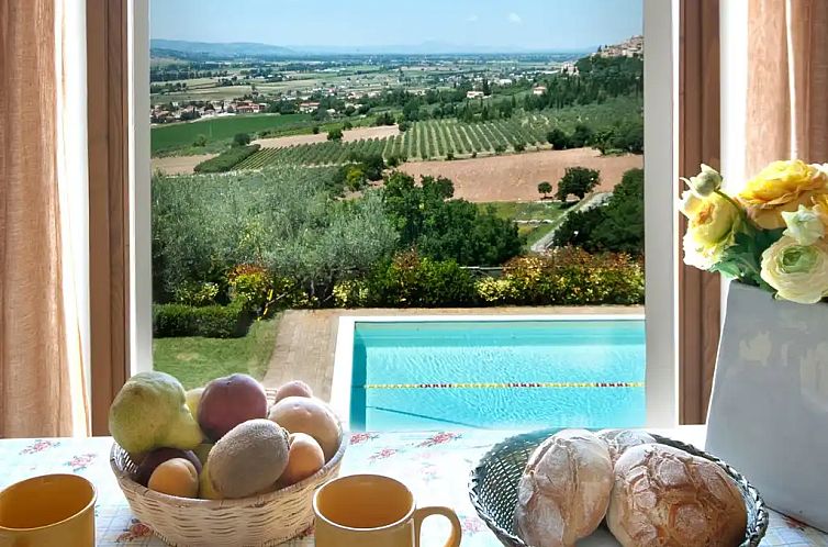 Agriturismo Fiordaliso - Ulivo