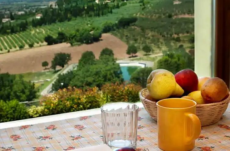 Agriturismo Fiordaliso - Ulivo