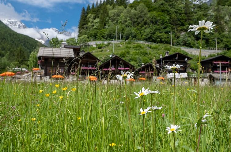 Vakantiehuis in Macugnaga