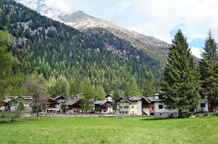 Appartement Wohnung im Dorfzentrum Ronco 1