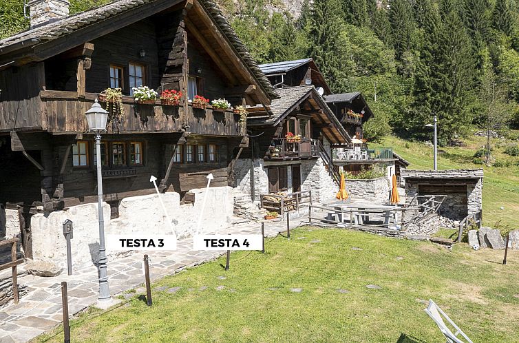 Appartement Chalet "Borgo Walser Testa 3"