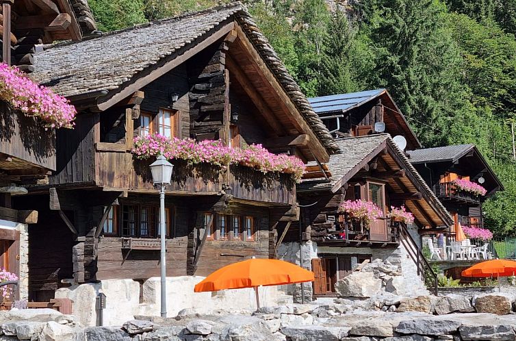 Appartement Chalet "Borgo Walser Testa 4"