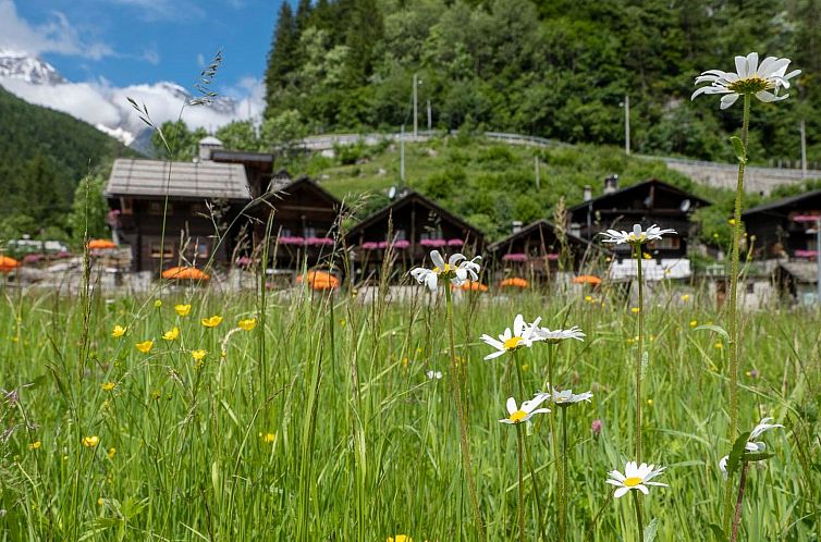 Appartement Chalet "Borgo Walser Testa 4"