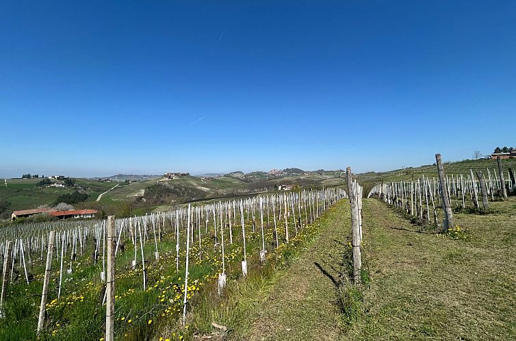 Appartement Casa il Cuore delle Langhe bei Holiday World
