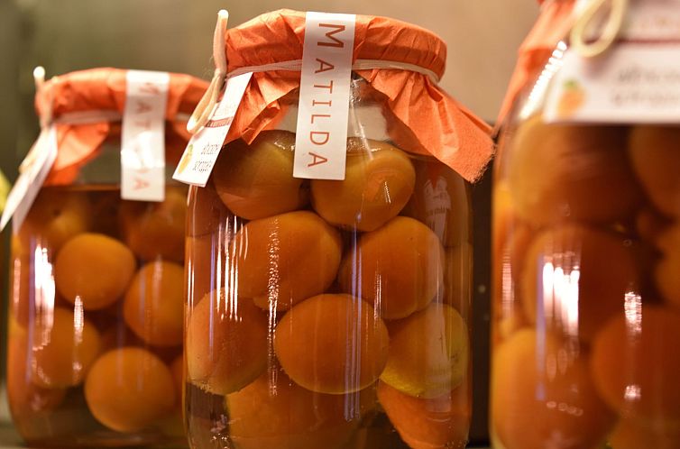 Appartement Miniloft-Siedlung mit Schwimmbad