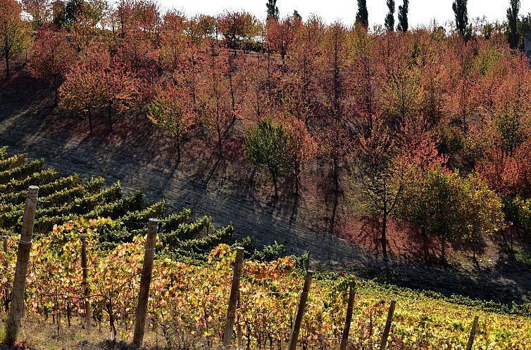 Appartement Miniloft-Siedlung mit Schwimmbad
