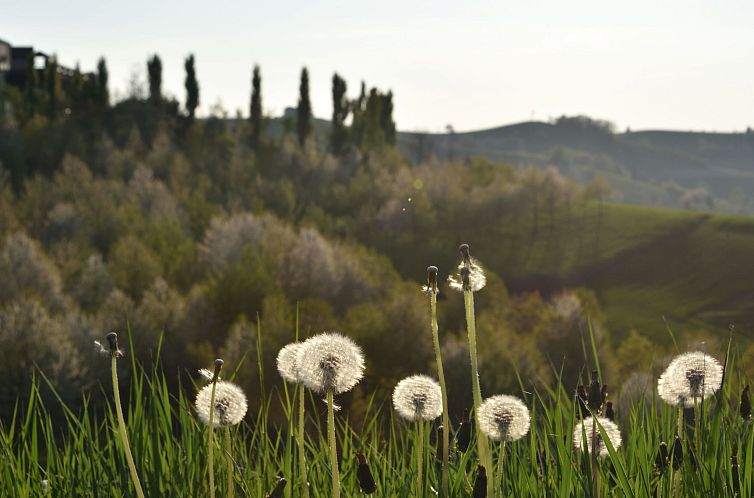 Appartement Miniloft-Siedlung mit Schwimmbad