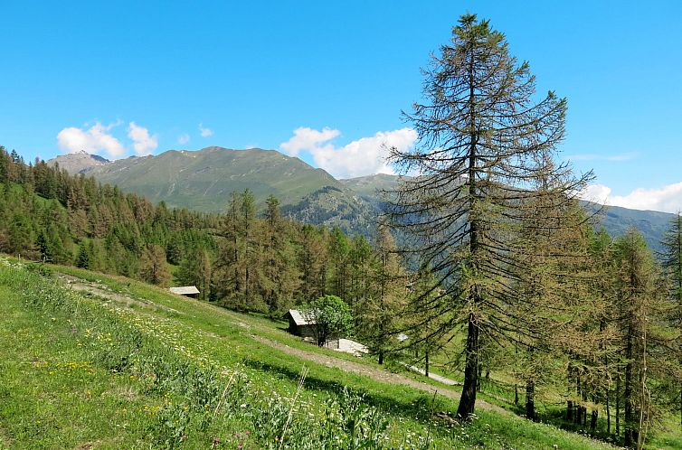 Vakantiehuis Casot Pra Viei