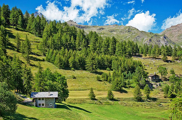 Vakantiehuis Casot Pra La Funt