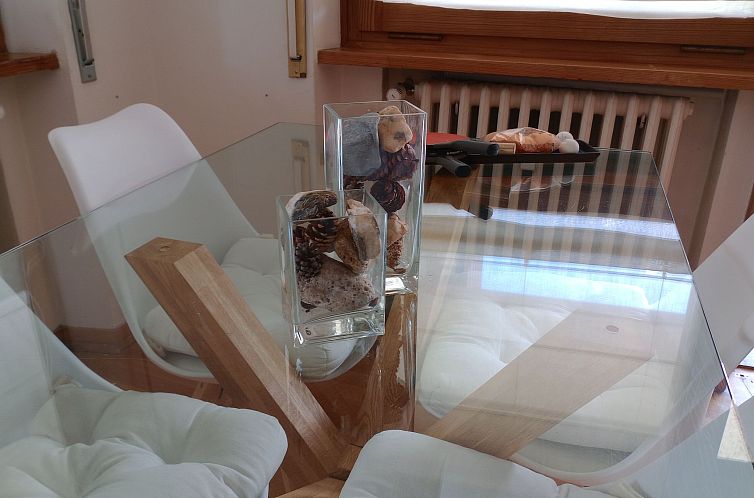 Appartement mit Bergblick