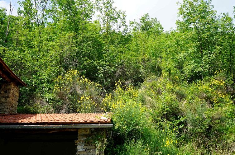 Casa Nuova
