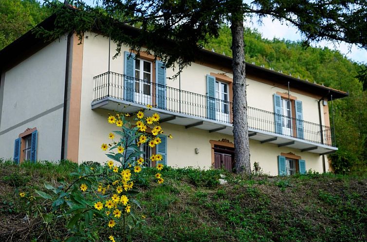 Casa Nuova