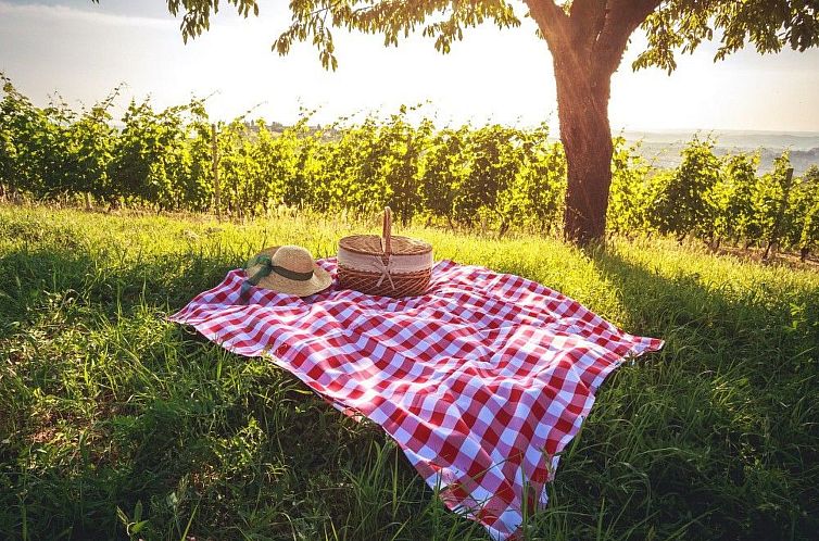 Appartement Mondmuscheln