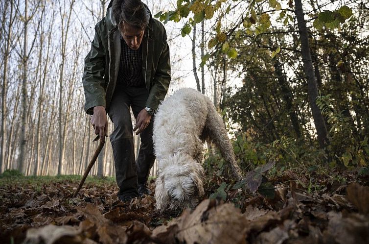 Appartement Wohnung 'Golden Sands' mit Schwimmbad
