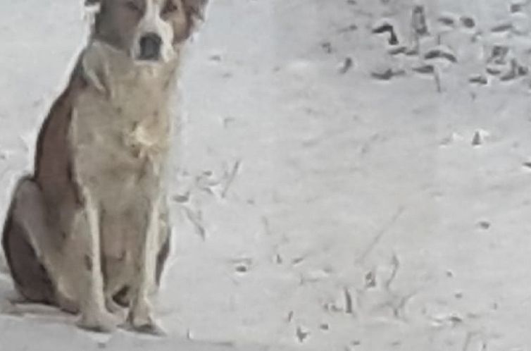 Vakantiehuis in MONTEBRACCO, BARGE