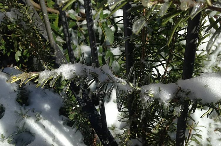 Vakantiehuis in MONTEBRACCO, BARGE