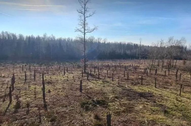 Vakantiehuisje in Namoussart