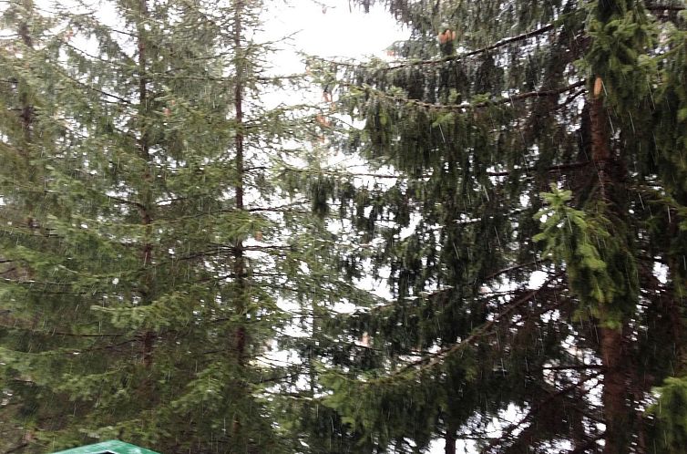 Appartement Studio für 4 Personen ca. 60 m&sup2; in Limone 