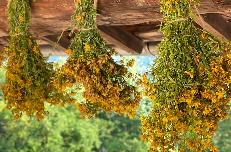 Vakantiehuisje in Tetto Caban