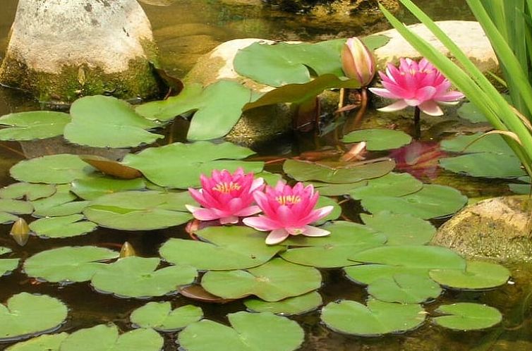 Vakantiehuisje in Treviso