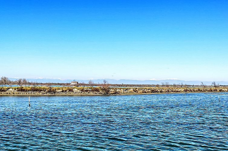 Appartement Green House
