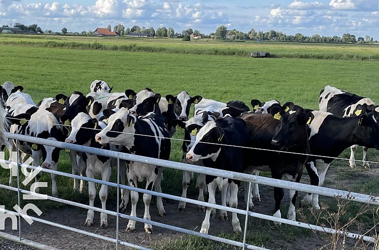 Sfeervol en ruim ingericht 10 persoons vakantiehuis aan het