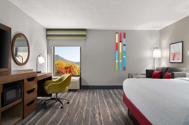 Hampton Inn Roanoke/Hollins - I-81
