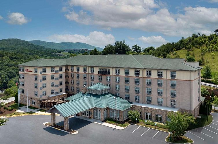 Unterkunft 10025311 - Appartement Zuiden - Hilton Garden Inn Roanoke
