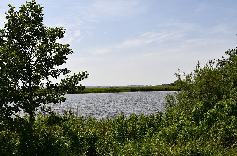 FR199