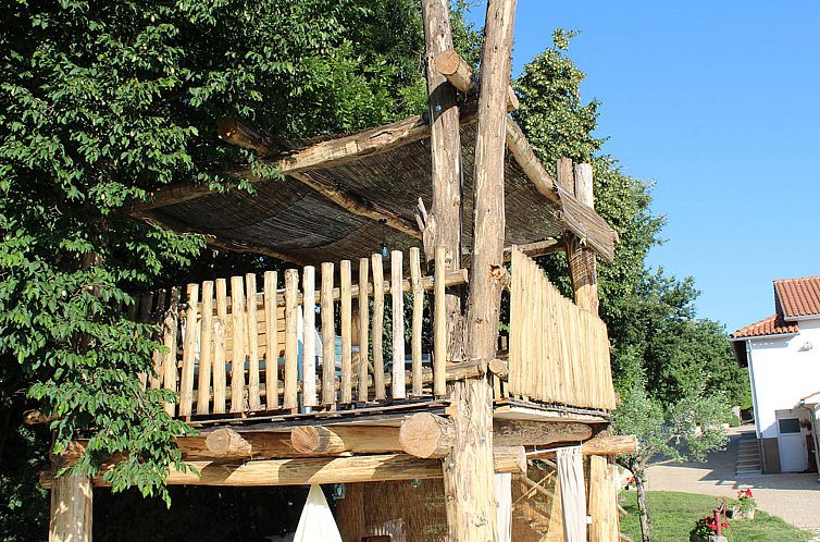 Appartement Apartment 1561
