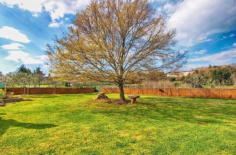 Appartement Apartment 1049