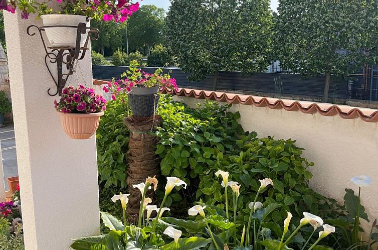 Appartement Apartment 2366