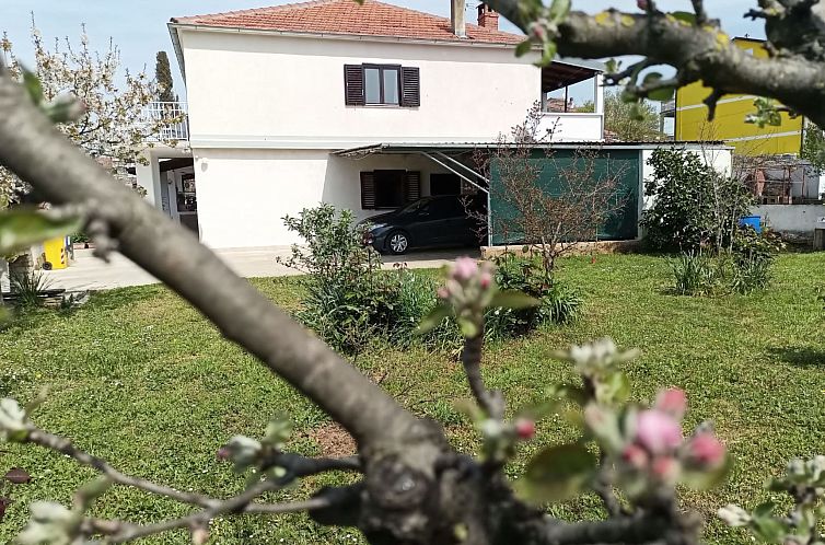 Appartement Apartment 2366