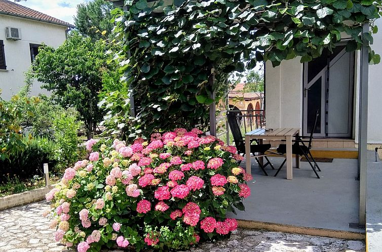 Appartement Anwesen "Krasno" mit Terrasse