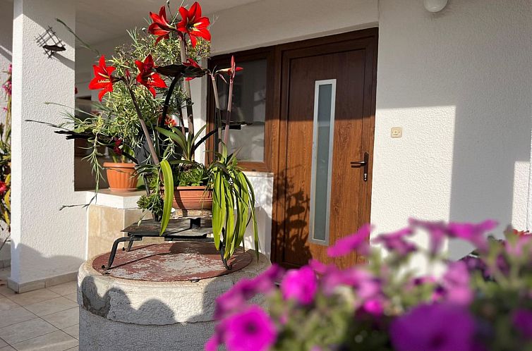 Appartement Apartment 2366