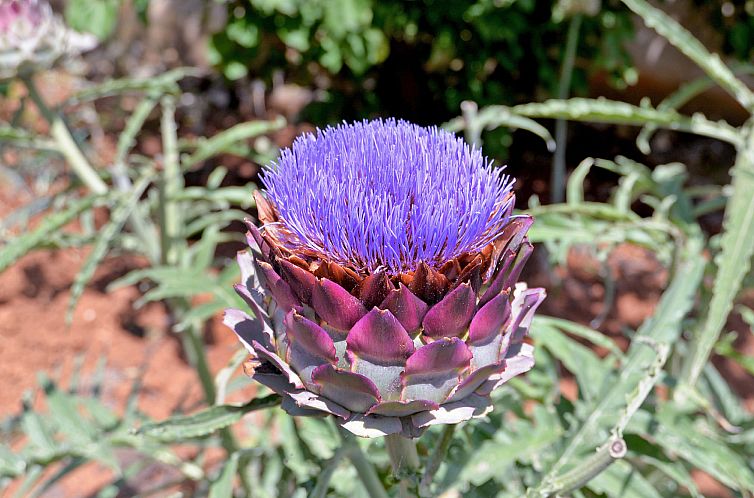 Appartement Apartment 378