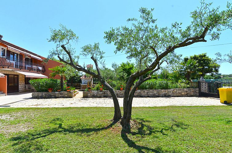 Appartement Apartment 1899