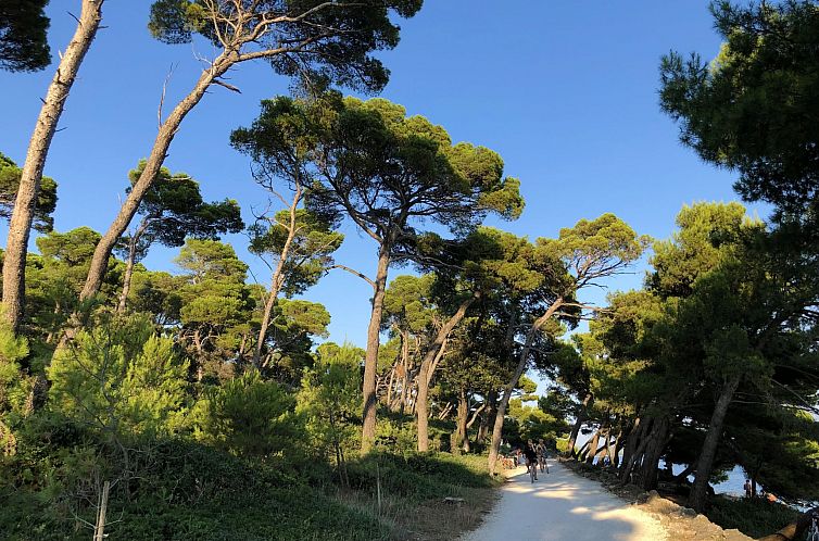 Appartement Franz Joseph