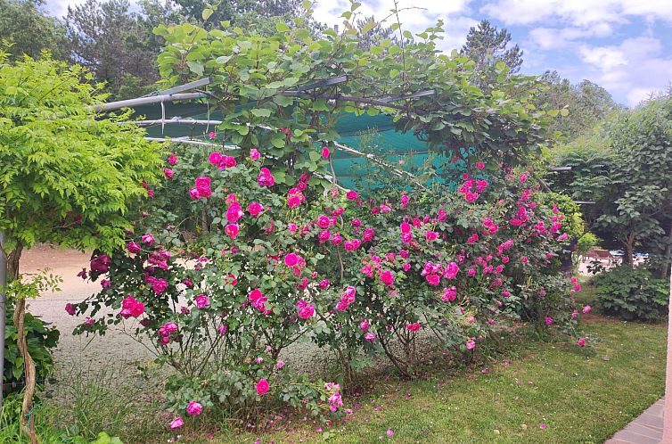 Vakantiehuis Valmonida