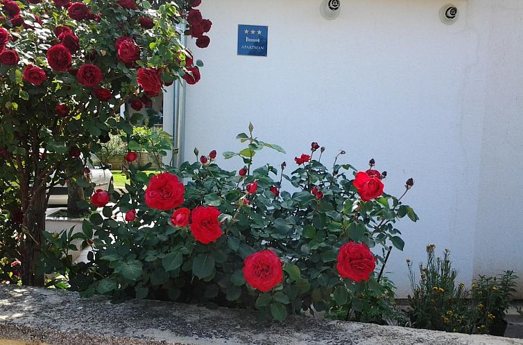 Appartement "Gemütlicher Garten" mit Terrasse