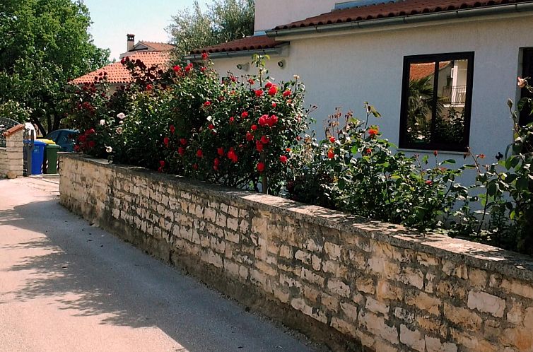 Appartement "Gemütlicher Garten" mit Terrasse