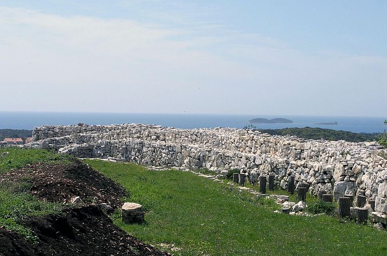 Appartement "Gemütlicher Garten" mit Terrasse