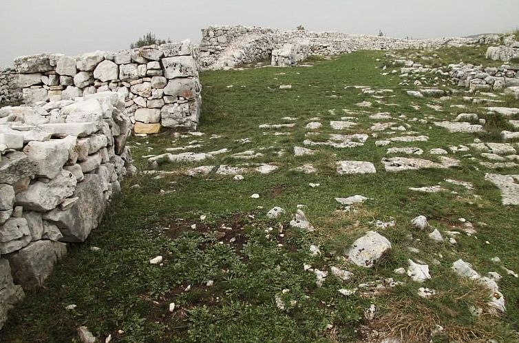 Appartement "Gemütlicher Garten" mit Terrasse