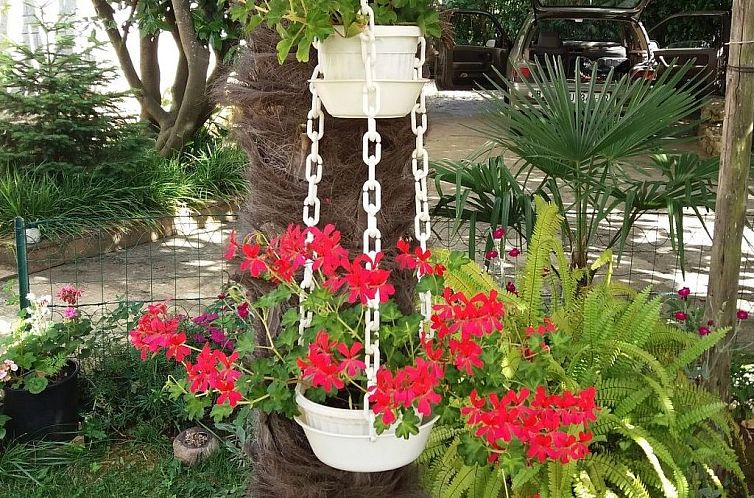 Appartement Wohnung 'Ivaana' mit Privatparkplatz