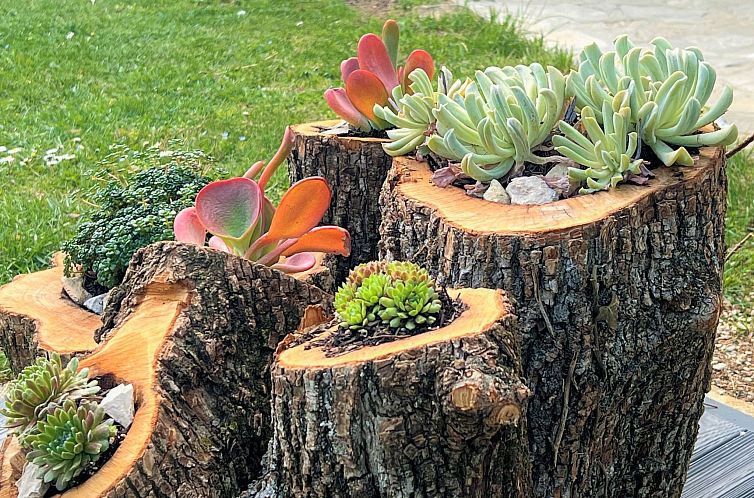 Vakantiehuis mit privatem Pool