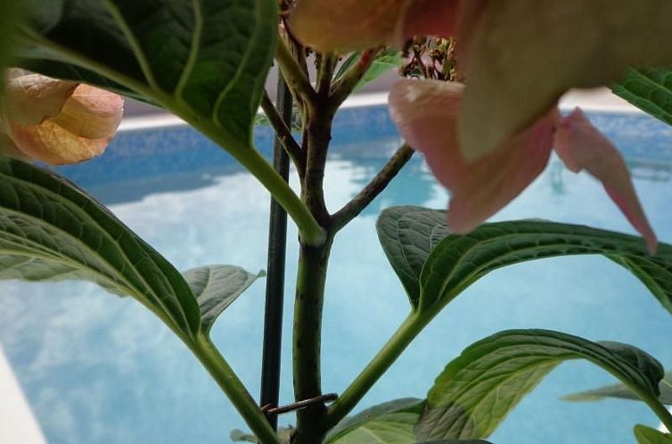 Appartement mit Panoramablick in ruhiger Lage