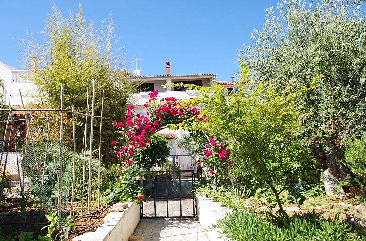 Appartement "Rose" mit Terrasse