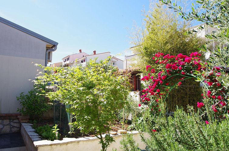 Appartement "Rose" mit Terrasse