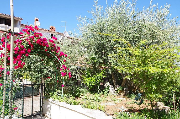 Appartement "Rose" mit Terrasse